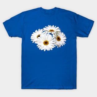 Daisies - Four White Daisies T-Shirt